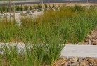 Grassy Headlandscaping-water-management-and-drainage-12.jpg; ?>