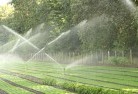 Grassy Headlandscaping-water-management-and-drainage-17.jpg; ?>